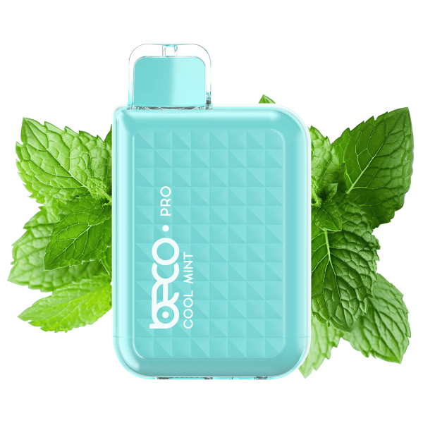 Beco Pro - vape 6000 puff - cool mint flavour