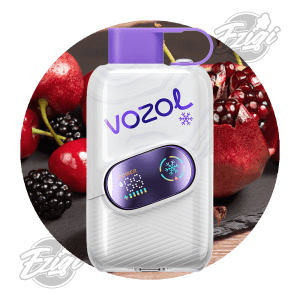 VOZOL STAR CLICK - BLACKBERRY POMEGRANATE CHERRY