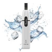 Yuoto Fox - vape 3000 puff - gusto acqua di sorgente ghiacciata